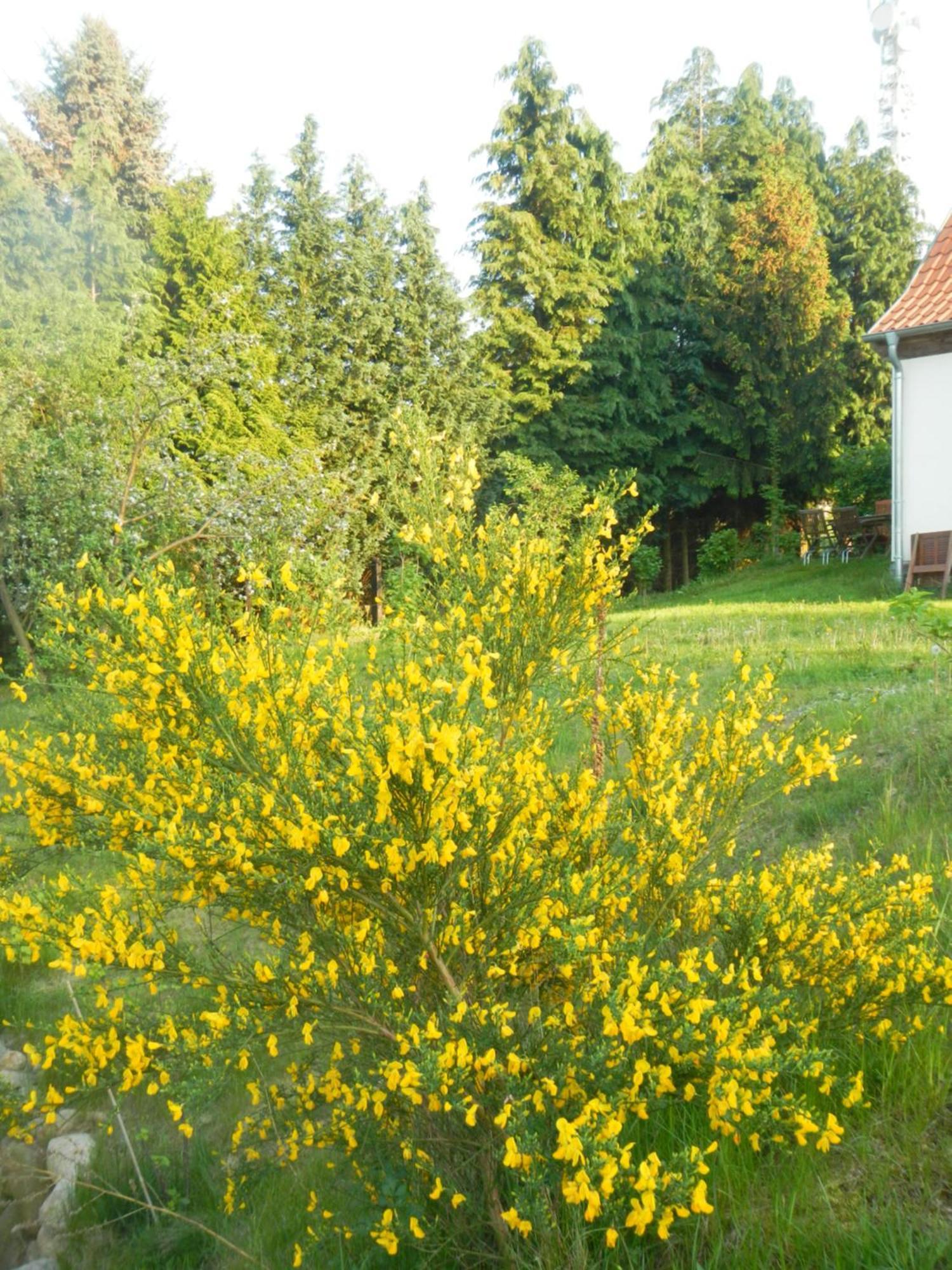 Ferienlandhaus Zempow Dış mekan fotoğraf