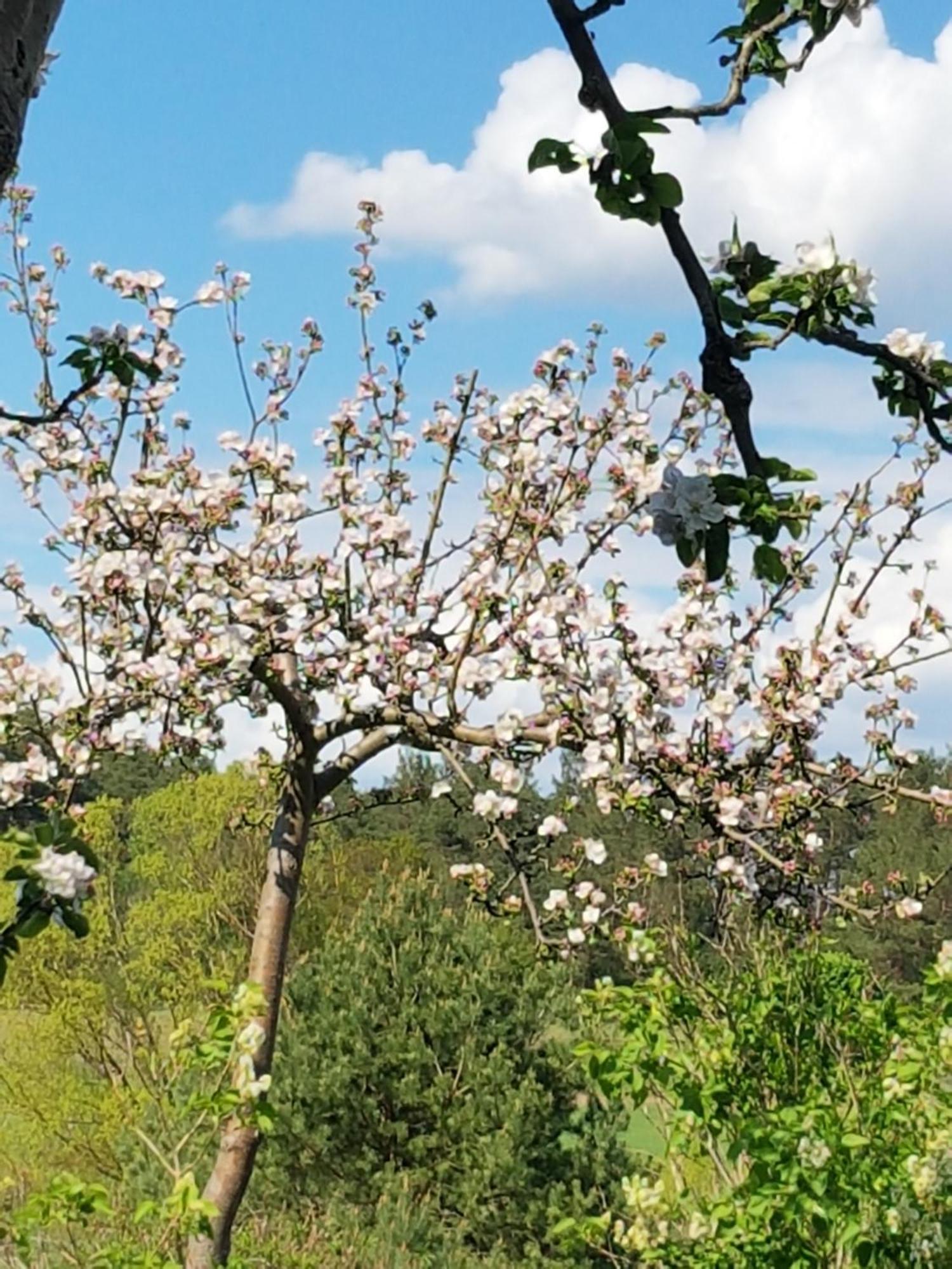 Ferienlandhaus Zempow Dış mekan fotoğraf