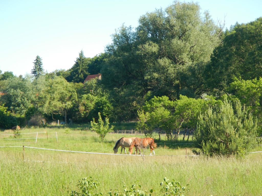 Ferienlandhaus Zempow Dış mekan fotoğraf